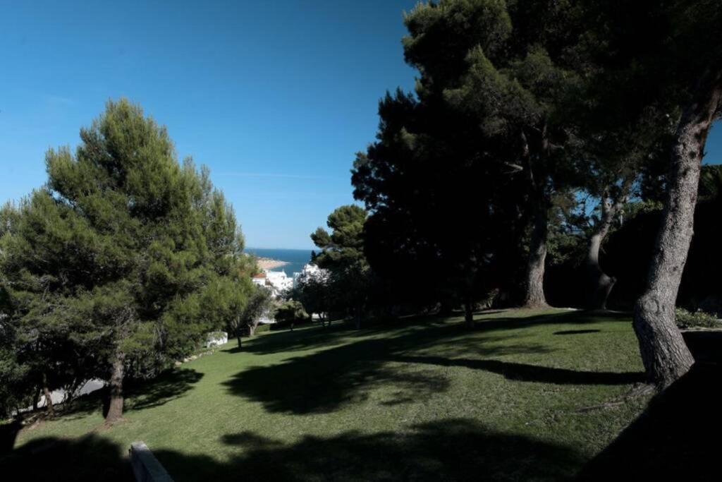 Fabulous Sea View Studio Near Old Town 알부페이라 외부 사진